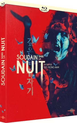 Soudain_dans_la_nuit_Bluray