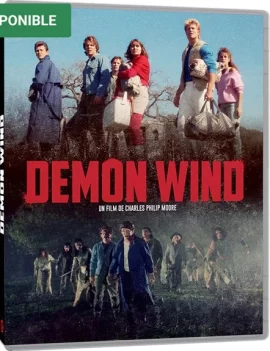 Demon_wind_bluray