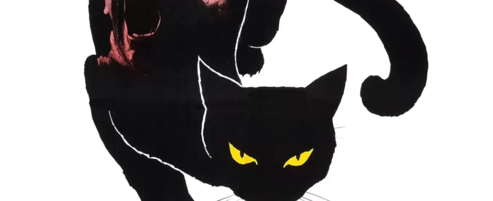 le_chat_noir_illustration