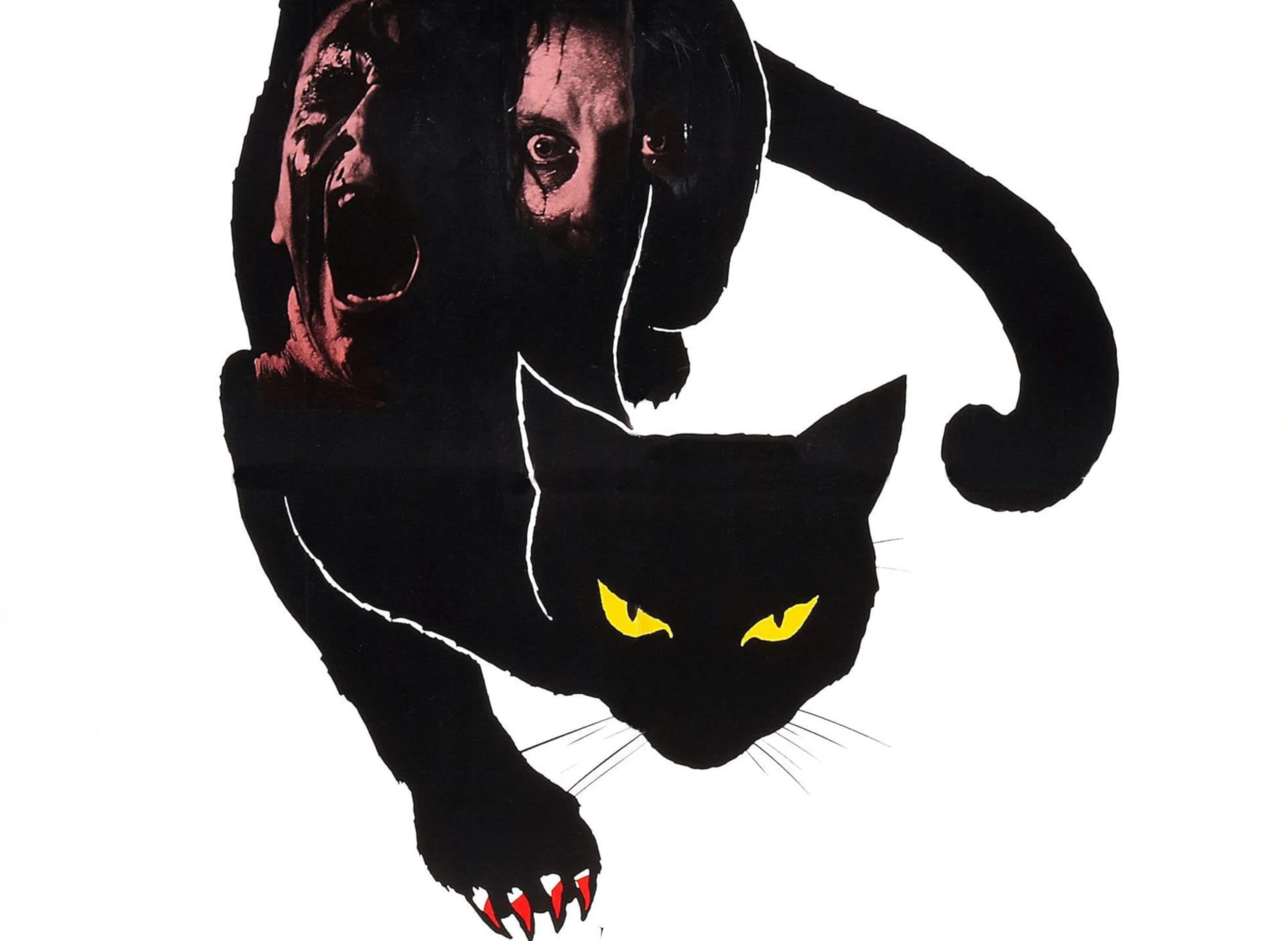 le_chat_noir_illustration