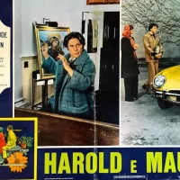 Harold_et_Maude_01