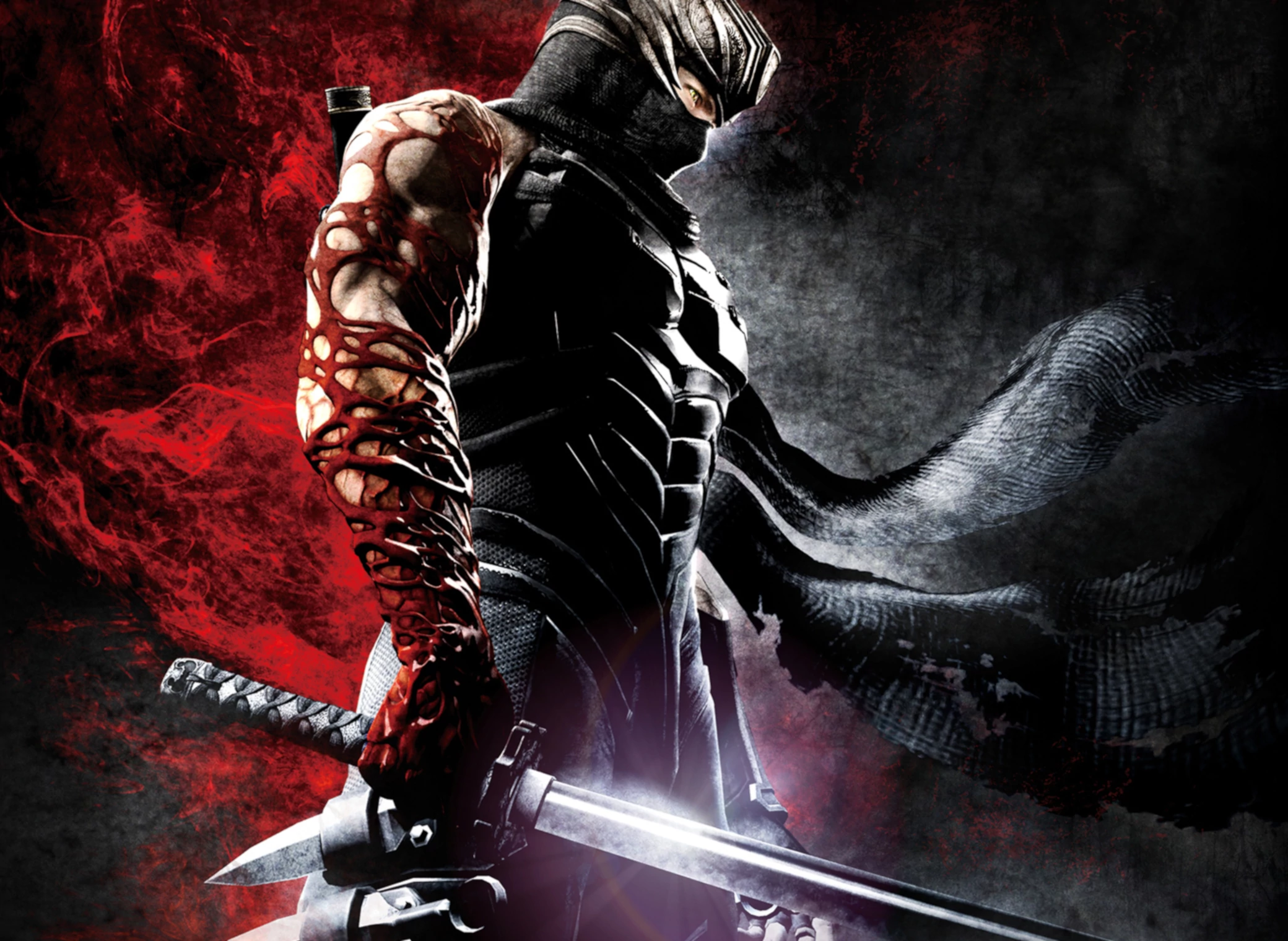 Ninja_Gaiden_Master_Collection_illustration