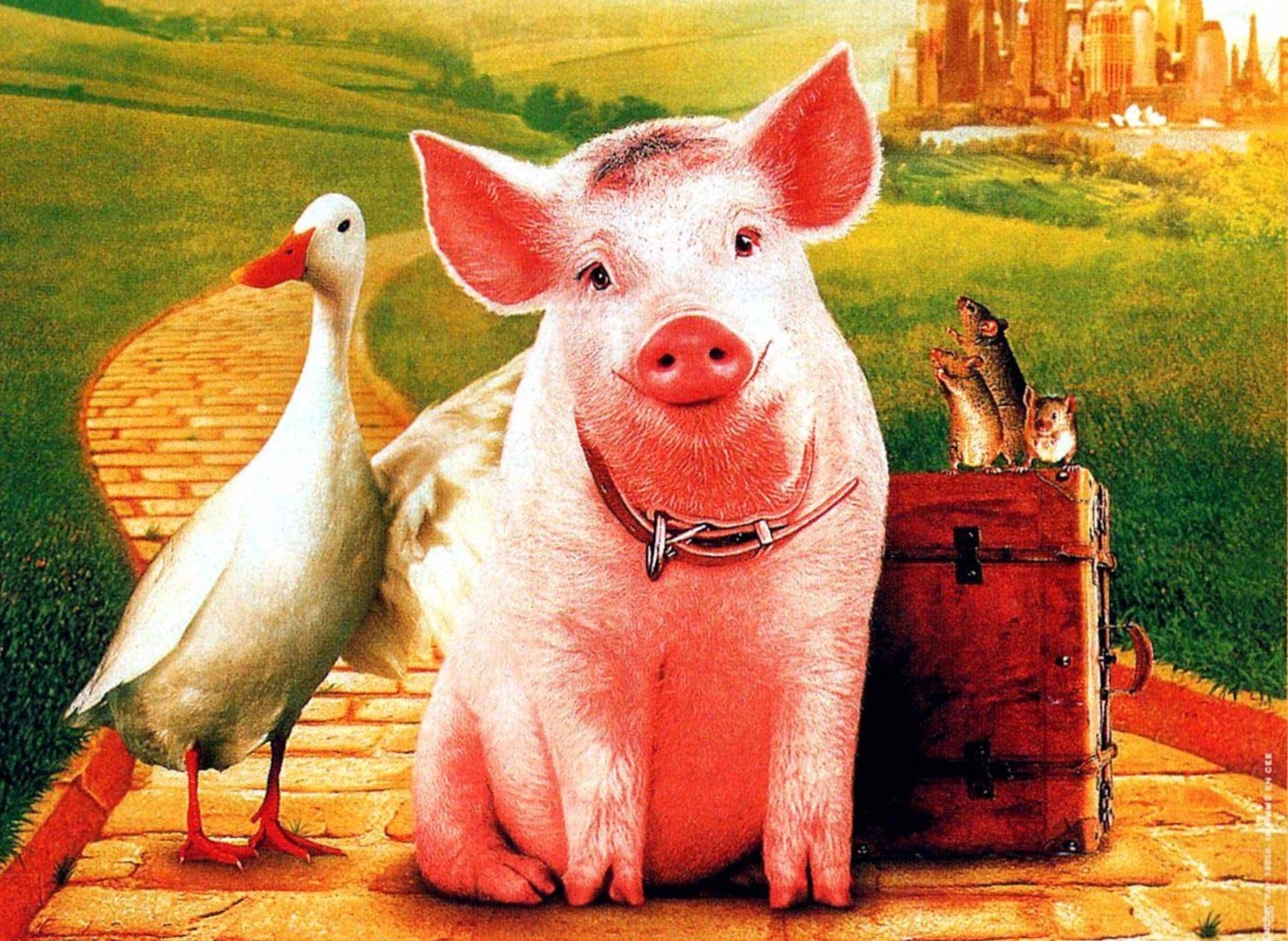 Babe_Le_Cochon_dans_la_ville_illustration