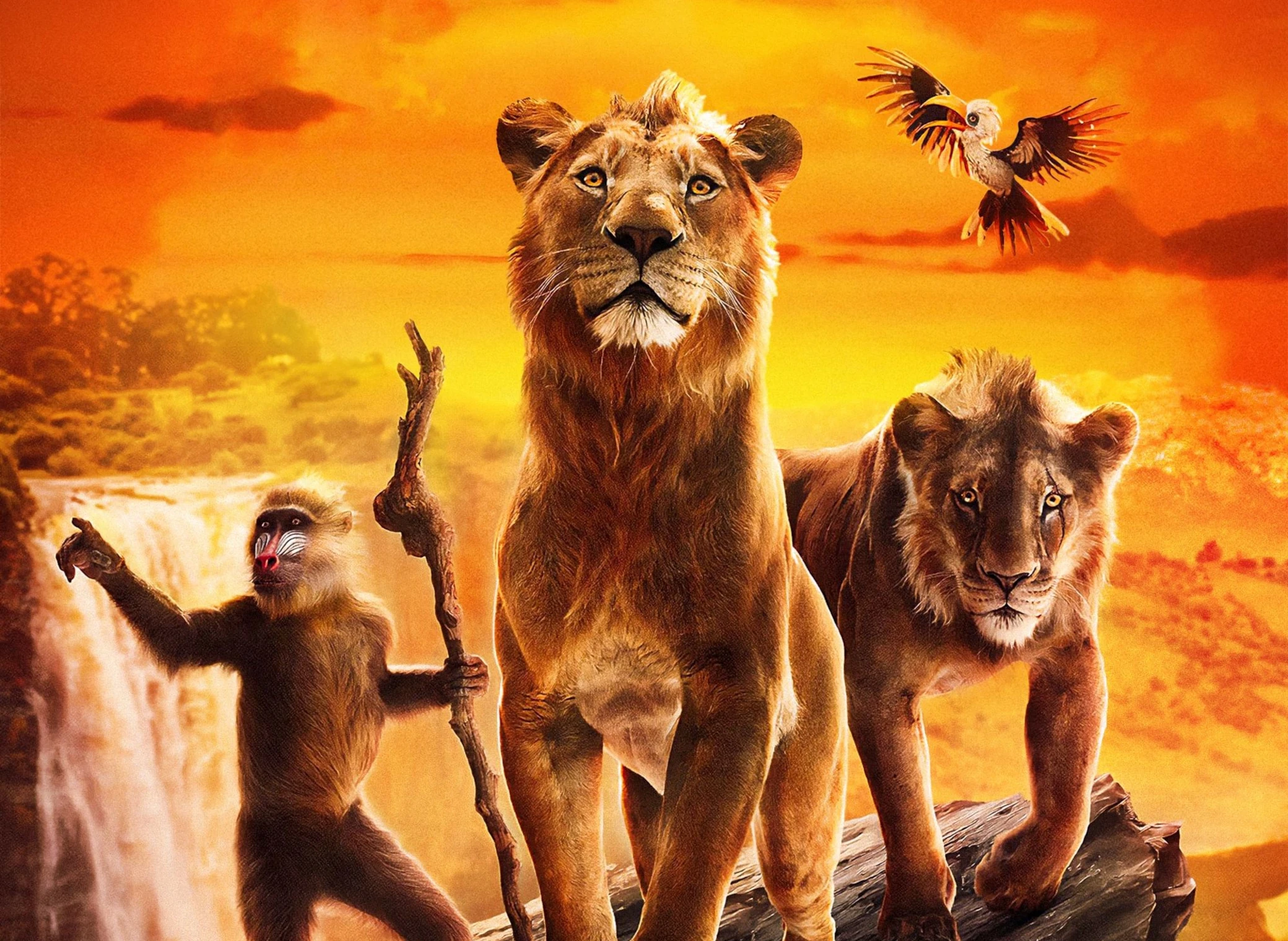 Mufasa_Le_Roi_Lion_illustration