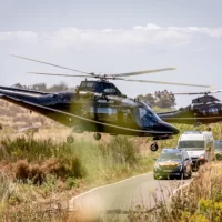 Criminal_Squad_Pantera_03