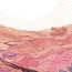 Le_Temps_des_pivoines_illustration