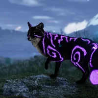 Spirit_of_the_North_2_01