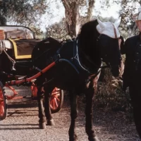 Le_Jardinier_d_Argenteuil_03