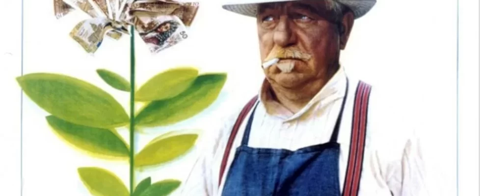 Le_Jardinier_d_Argenteuil_illustration