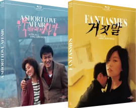 A_Short_Love_Affair_Fantasmes_Bluray