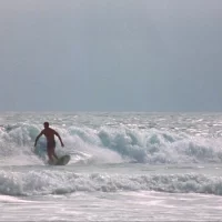 Psycho_Beach_Party_06 Psycho_Beach_Party_06