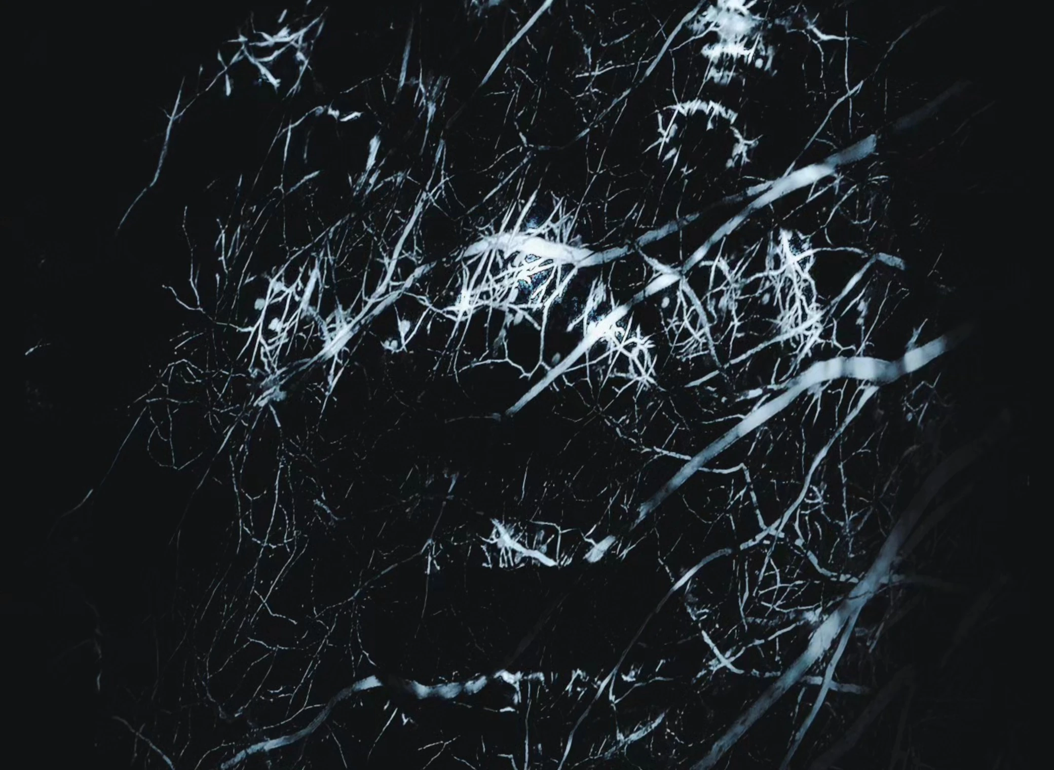 Evanouis_illustration