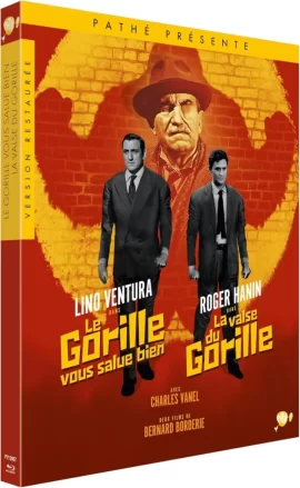 Le_Gorille_vous_salue_bien_La_Valse_du_Gorille_Bluray