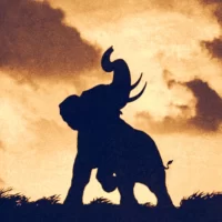 Les_Films_Maudits_Alejandro_Jodorowsky_01