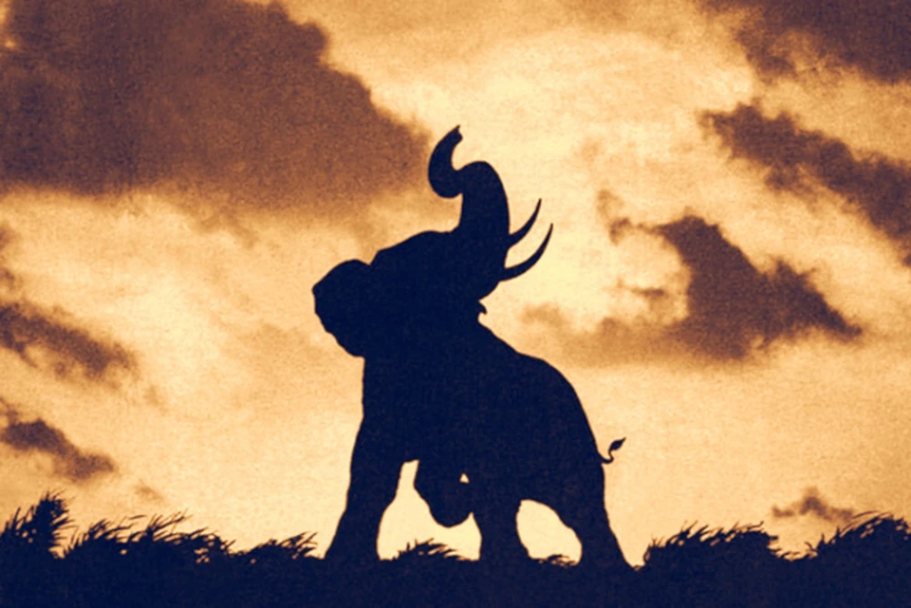 Les_Films_Maudits_Alejandro_Jodorowsky_01