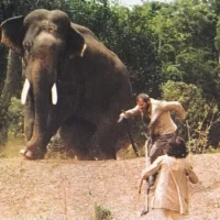 Les_Films_Maudits_Alejandro_Jodorowsky_02