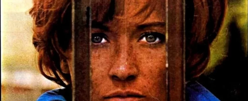 L_Astragale_illustration