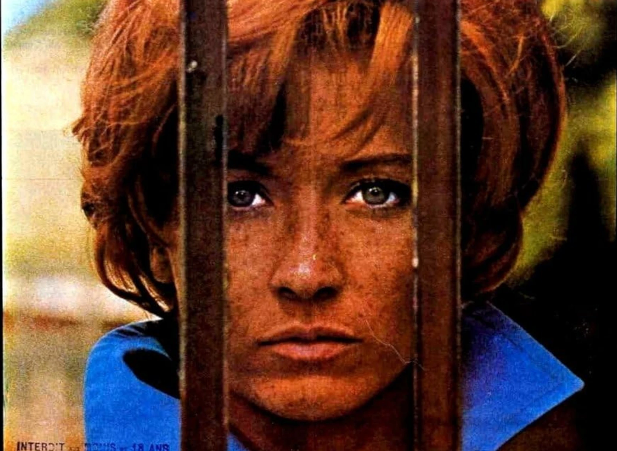 L_Astragale_illustration