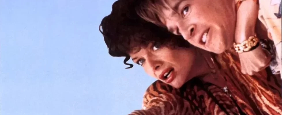 Veuve_mais_pas_trop_illustration