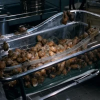 un_escargot_dans_la_tete_04