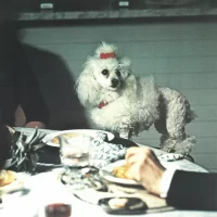 Bigas_Luna_Coffret_05 Bigas_Luna_Coffret_05