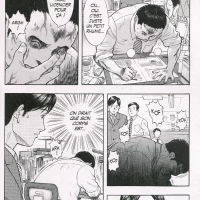 Emerging_integrale_02