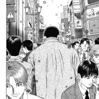 Emerging_integrale_03