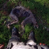 In_A_Violent_Nature_04