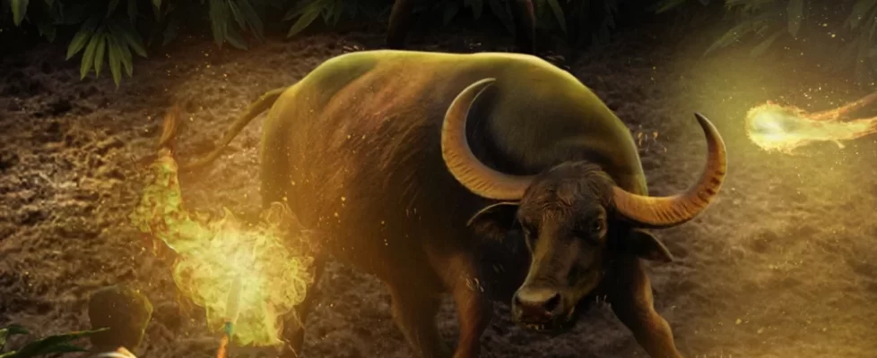 Jallikattu_illustration