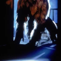 La_Malediction_du_loup__garou_01