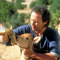 La_Vie_L_Amour_les_vaches_04