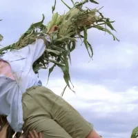 Les_Demons_du_mais_trilogie_02