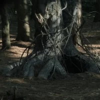 The_Wretched_06 The_Wretched_06