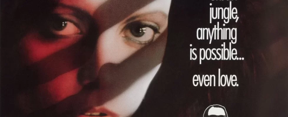 Un_Zoo_Dans_La_Nuit_Illustration