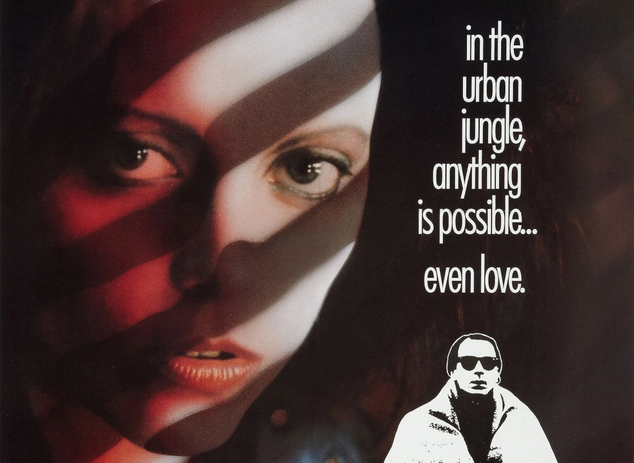 Un_Zoo_Dans_La_Nuit_Illustration