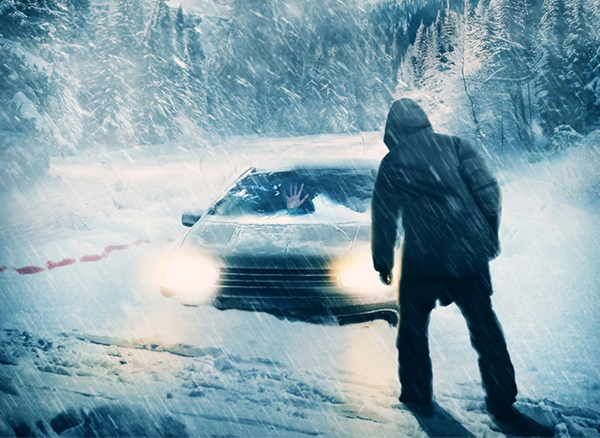 Cold_Meat_illustration