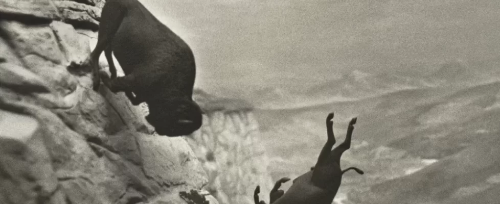 Eddington_illustration