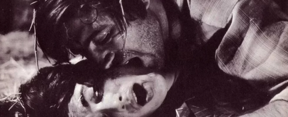 Sans_Un_Cri_illustration