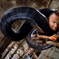 Anaconda_07 Anaconda_07