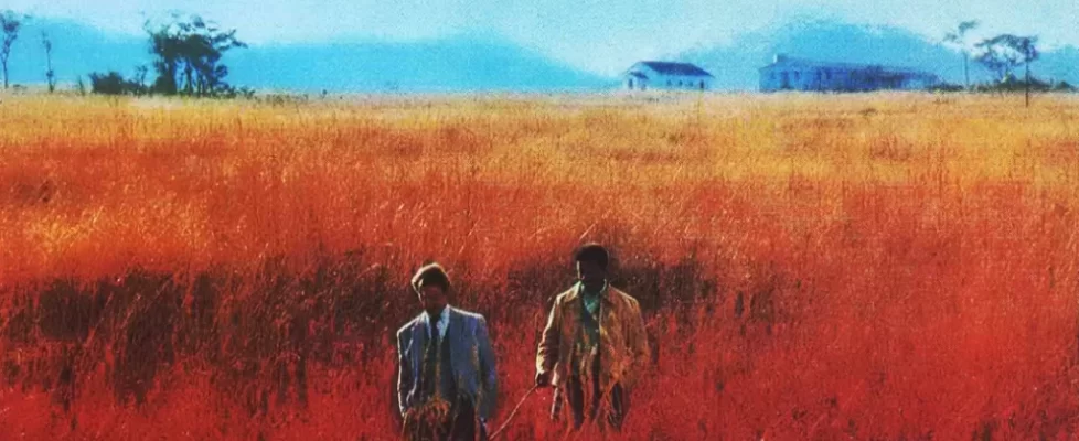 Cry_Freedom_illustration