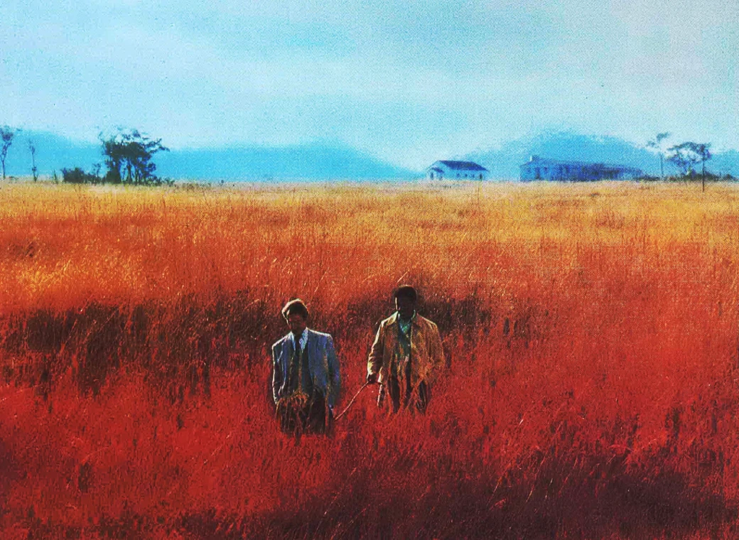 Cry_Freedom_illustration