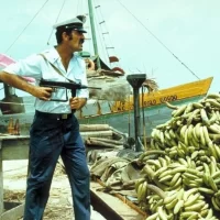 Banana_Joe_04