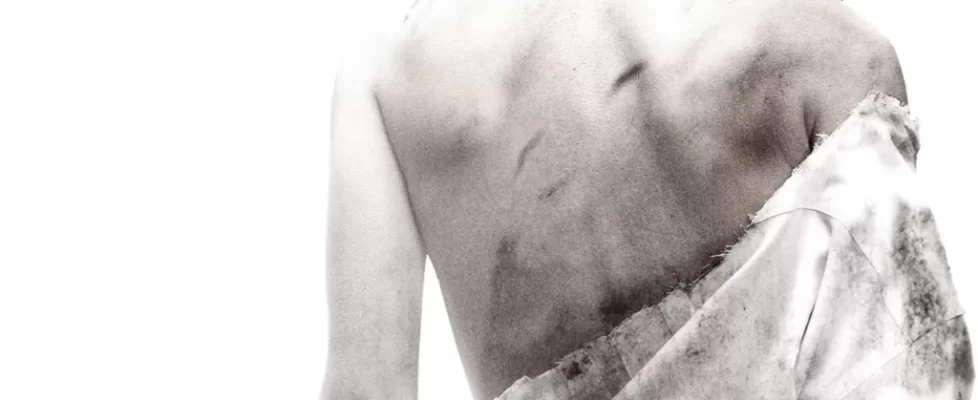 I_Spit_on_Your_Grave_Trilogie_illustration