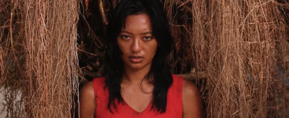 Barbare_Invasion_Stone_Turtle_illustration