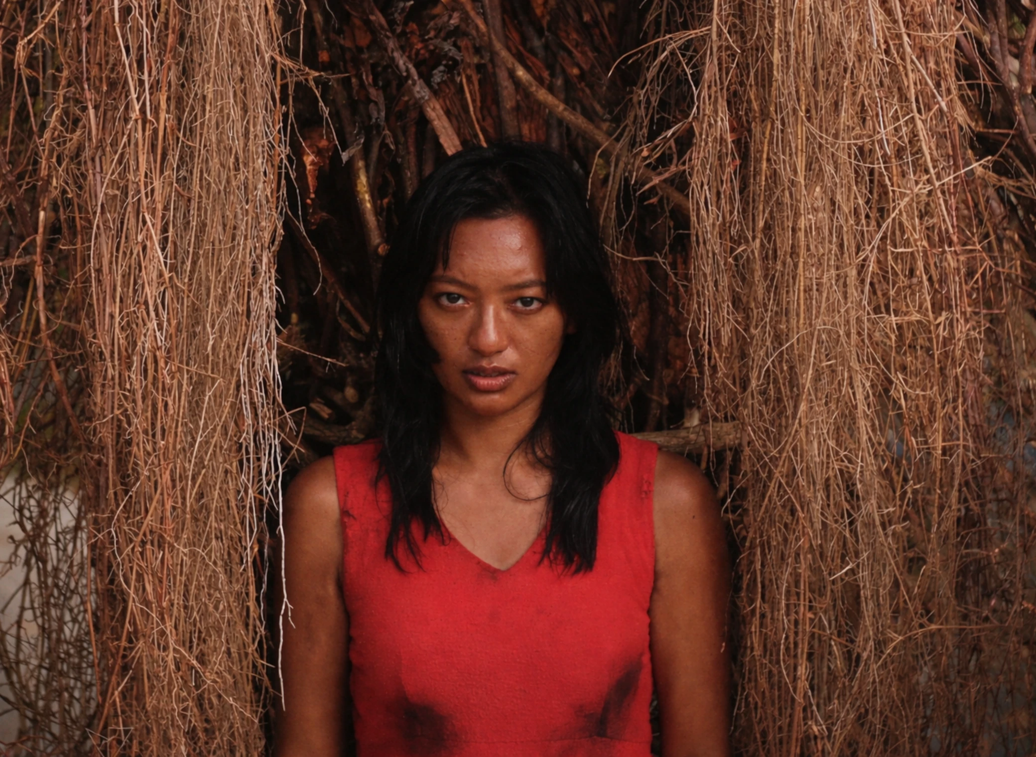 Barbare_Invasion_Stone_Turtle_illustration