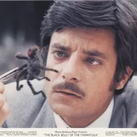 La_Tarentule_au_ventre_noir_01