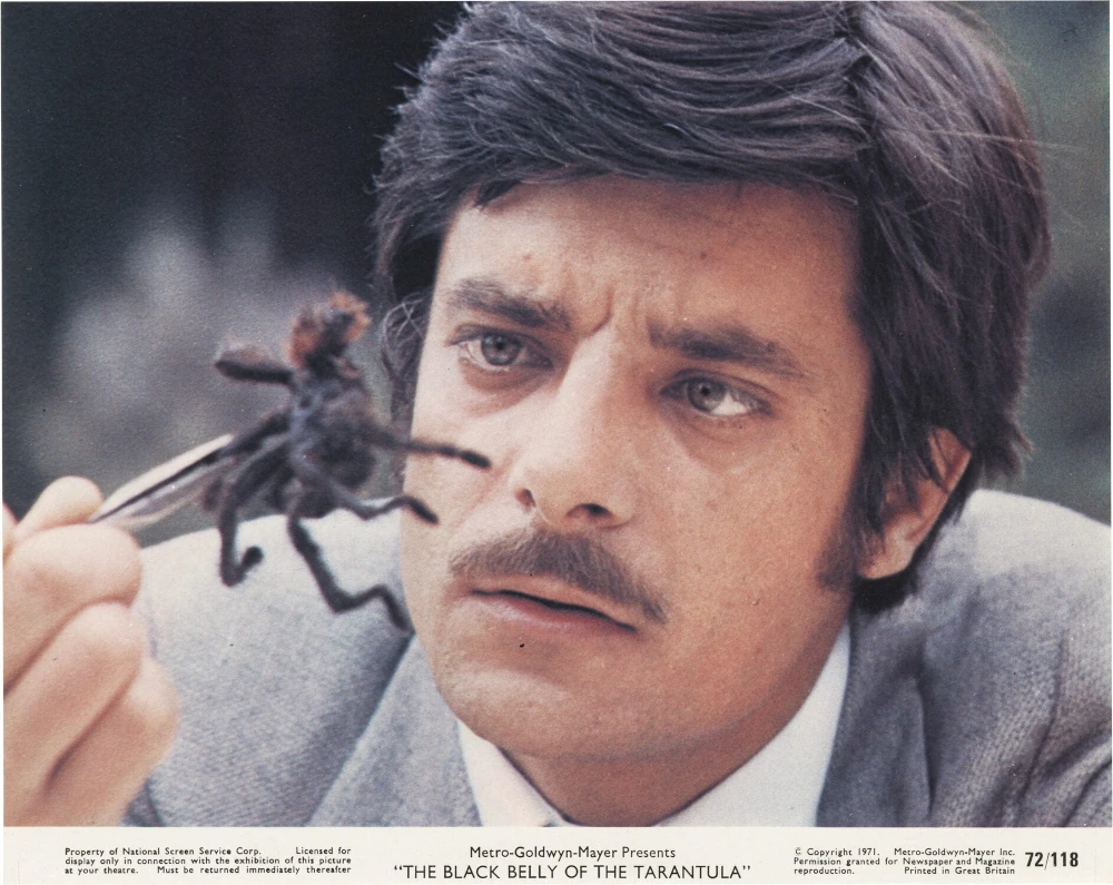 La_Tarentule_au_ventre_noir_01