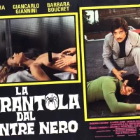 La_Tarentule_au_ventre_noir_02