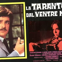 La_Tarentule_au_ventre_noir_03