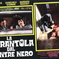 La_Tarentule_au_ventre_noir_05 La_Tarentule_au_ventre_noir_05